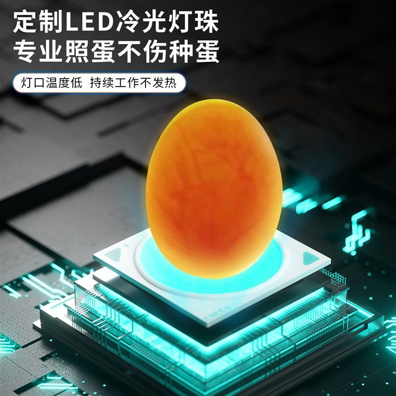 鹦鹉照蛋器手电筒冷光可t充电鸟类照蛋灯蛋孵化专用龟种蛋穿透检,淘宝优惠券,粉丝福利购,淘宝优惠卷