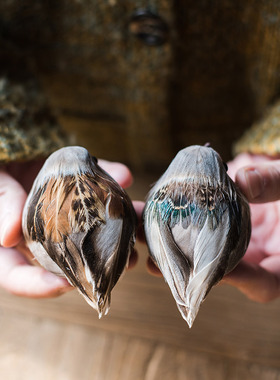 掬涵 装饰小鸟摆件 夹子 鸟巢鸟窝鸟蛋 羽毛鸟胸针美式乡村