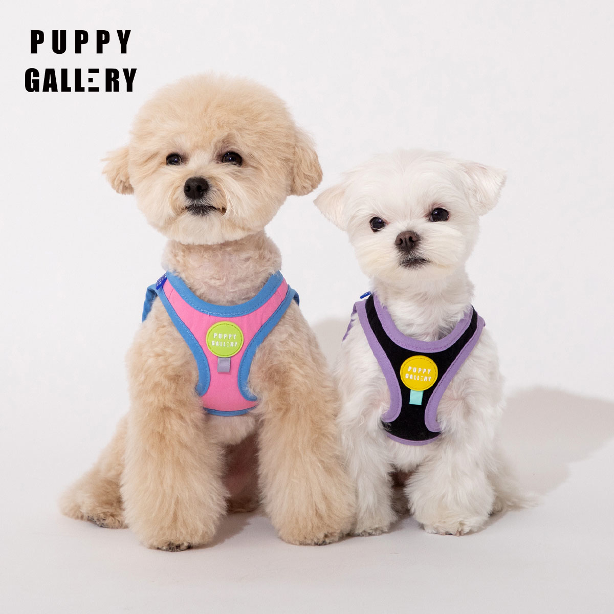 韩国PuppyGallery胸背A+撞色系列狗狗背心式牵引绳项圈宠物犬背带 - 图0