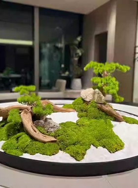 餐桌转盘永生苔藓微景观摆件