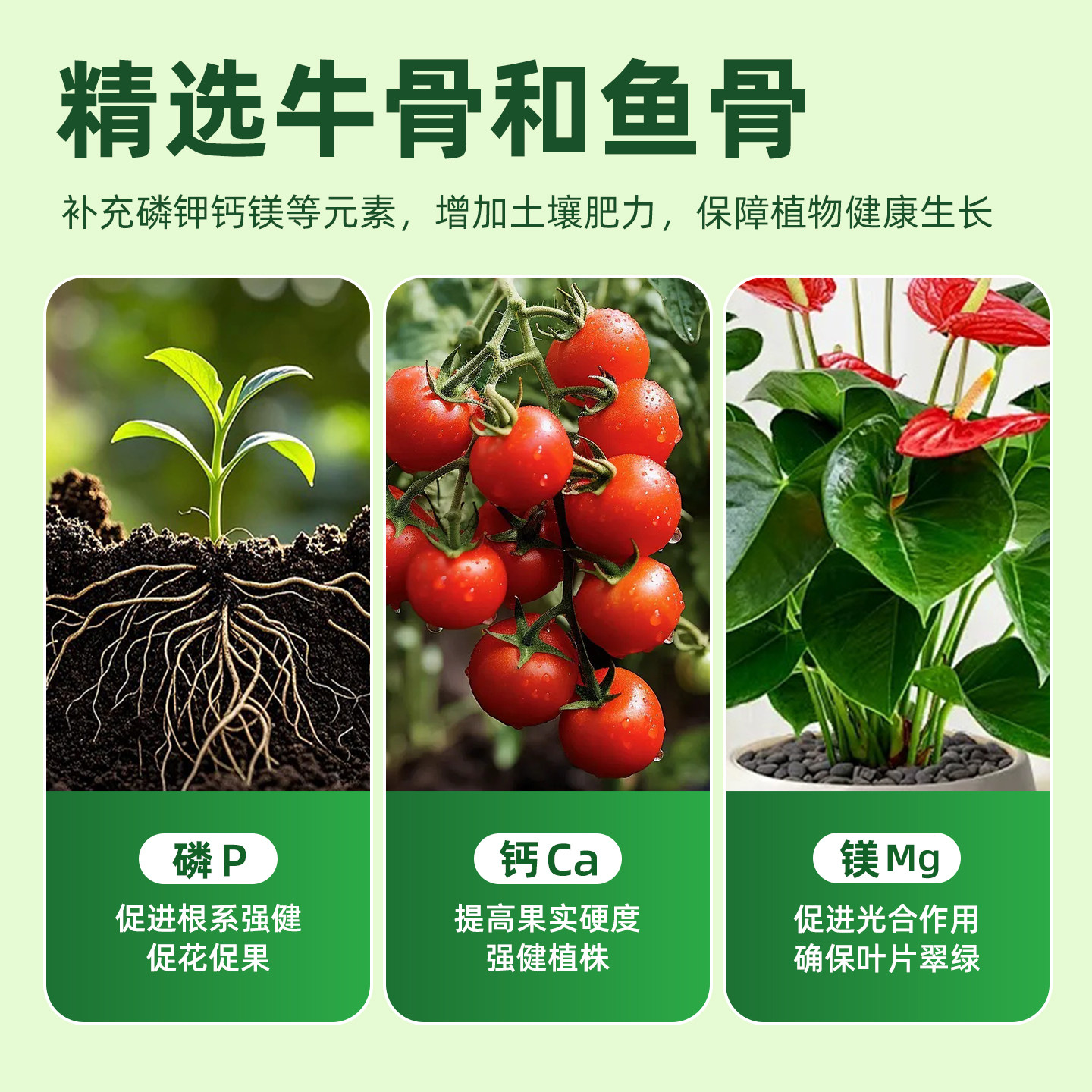 脱脂骨粉养花专用缓释肥生物有机肥家用园艺三角梅君子兰开花种菜,淘宝优惠券,粉丝福利购,淘宝优惠卷