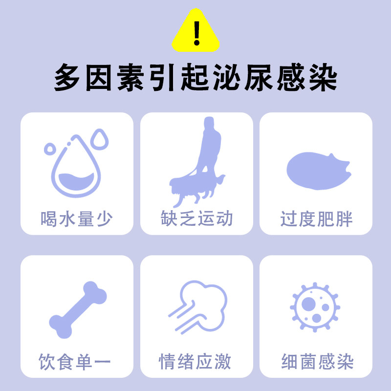 怪兽村广谱消炎杀菌恩诺沙星片产后消炎药子宫蓄脓乳腺炎泌尿感染