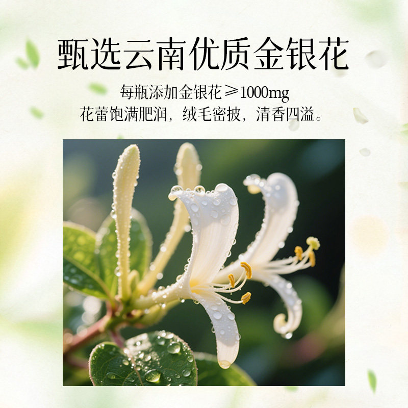 轻上轻搭档菊花三花茶金银花茉莉花0糖0脂四季清润无糖植物饮料
