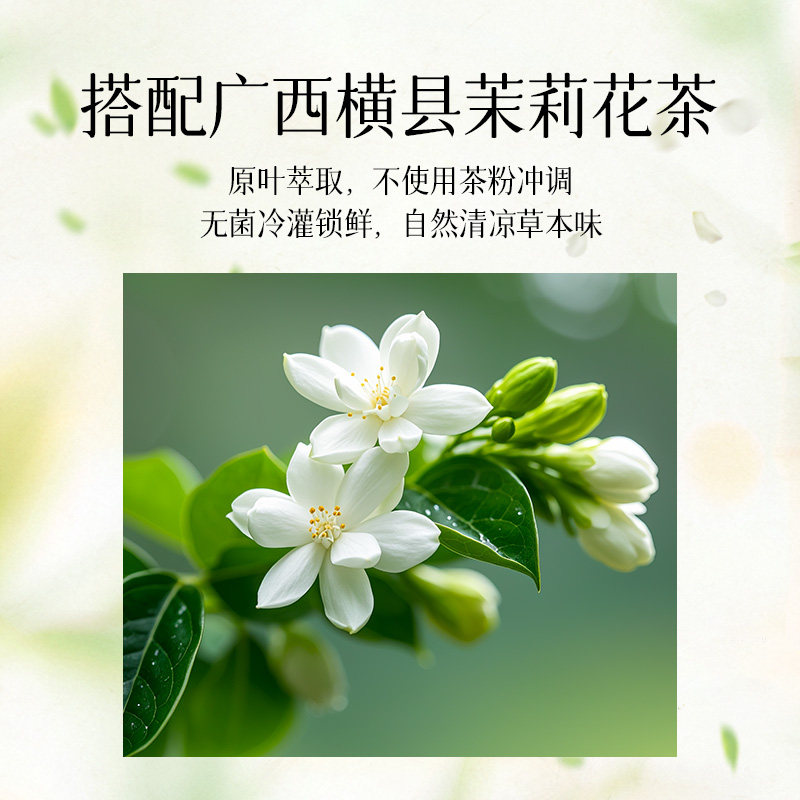 轻上轻搭档菊花三花茶金银花茉莉花0糖0脂四季清润无糖植物饮料