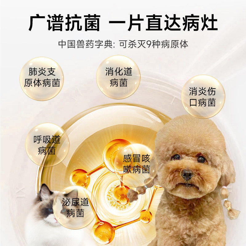 盐酸多西环素片狗猫咪专用感冒药咳嗽打喷嚏宠物消炎猫鼻支犬窝咳,淘宝优惠券,粉丝福利购,淘宝优惠卷