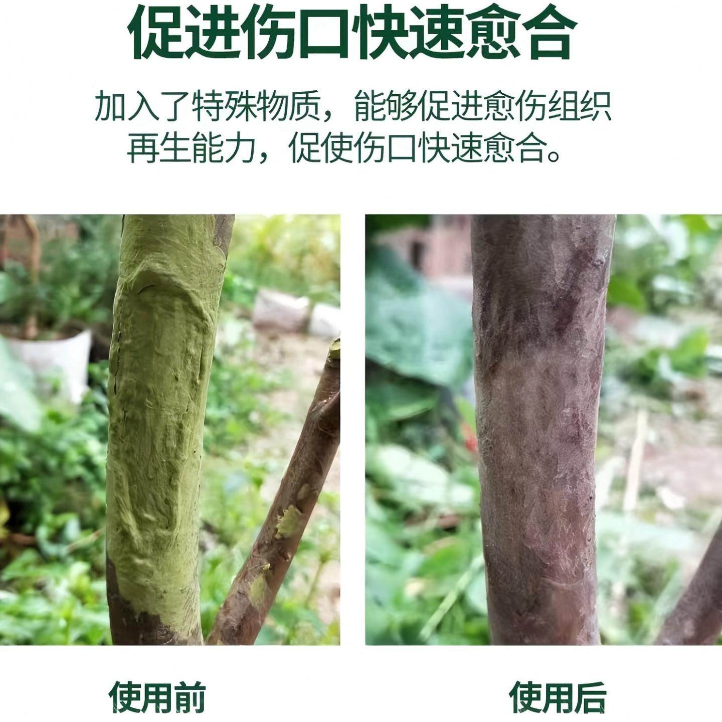 国光糊涂植物伤口愈合剂花卉盆景果树木修剪枝嫁接树洞填充涂抹膜,淘宝优惠券,粉丝福利购,淘宝优惠卷