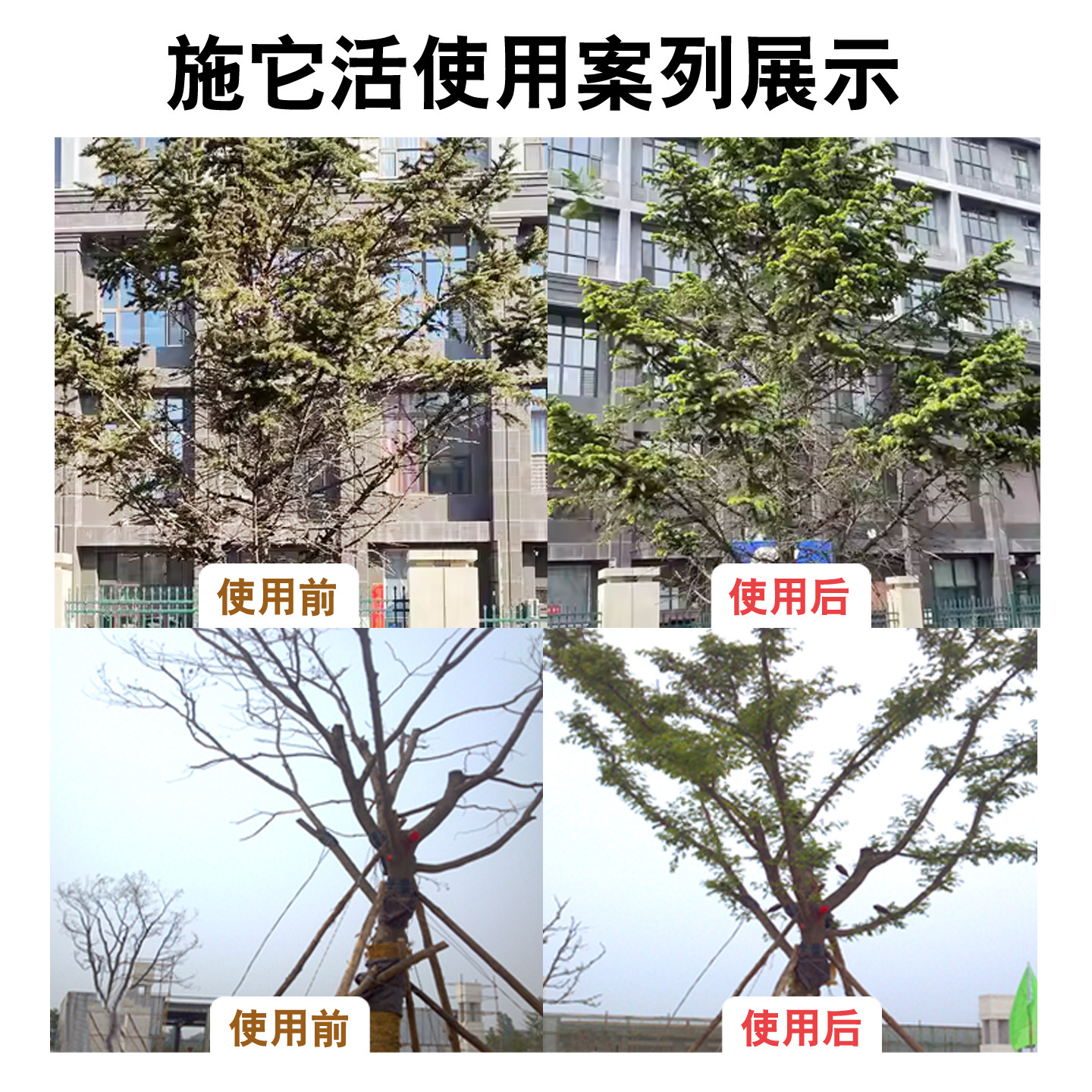 国光施它活大树营养液植物树木吊针注射激活生根果树输液管吊瓶袋,淘宝优惠券,粉丝福利购,淘宝优惠卷