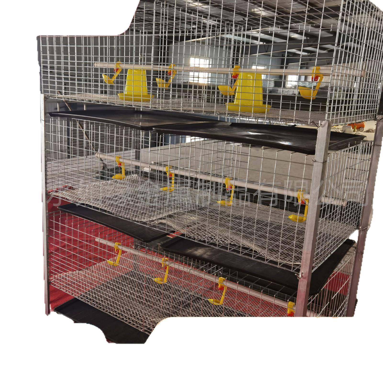 三层立式肉鸡笼三层四层鸡笼H型立式粪盘肉鸡笼养鸡场镀锌肉鸡笼,淘宝优惠券,粉丝福利购,淘宝优惠卷