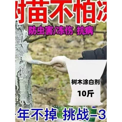 果树涂白剂树木树干杆大树刷白防虫防冻抗病防寒杀菌防冻石灰粉剂 - 图1