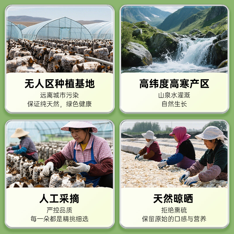 绿山珍品黑木耳东北特产干货肉厚东北木耳凉拌木耳100g/袋