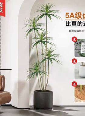 绿植假植物轻奢客厅装饰树室内大型盆栽龙血树落地摆件花