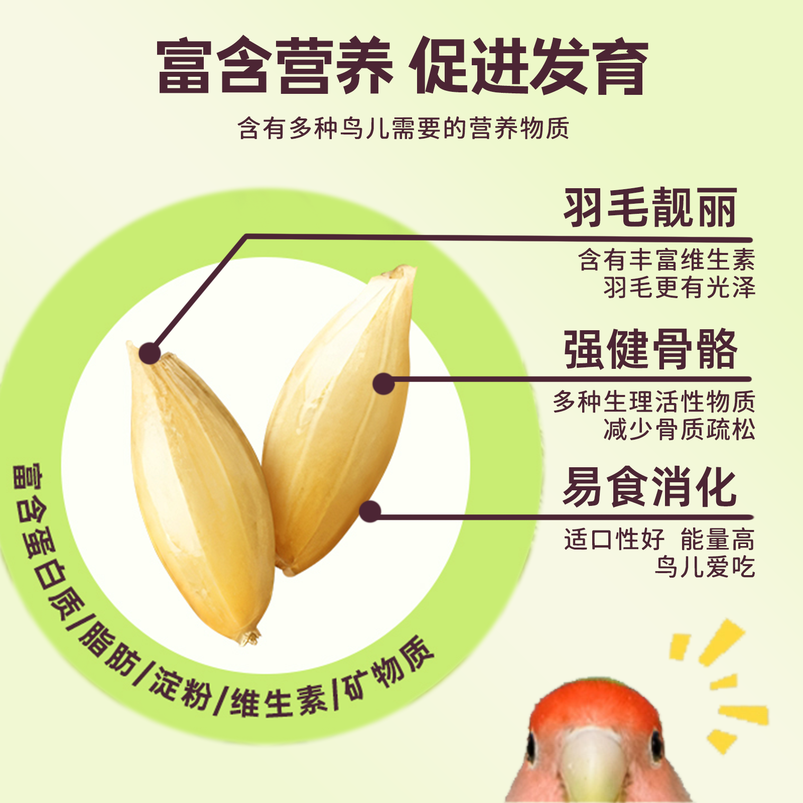 【宠大条】鹦鹉鸟粮鸟食虎皮玄凤小太阳专用粮加纳利子训练鸟零食,淘宝优惠券,粉丝福利购,淘宝优惠卷