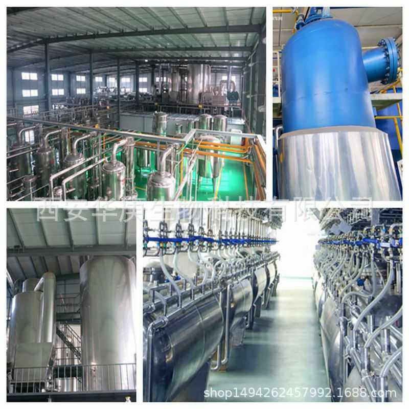 纳豆激酶 20000FU/g 纳豆提取物 纳豆发酵来源 100g/袋 现货包邮,淘宝优惠券,粉丝福利购,淘宝优惠卷