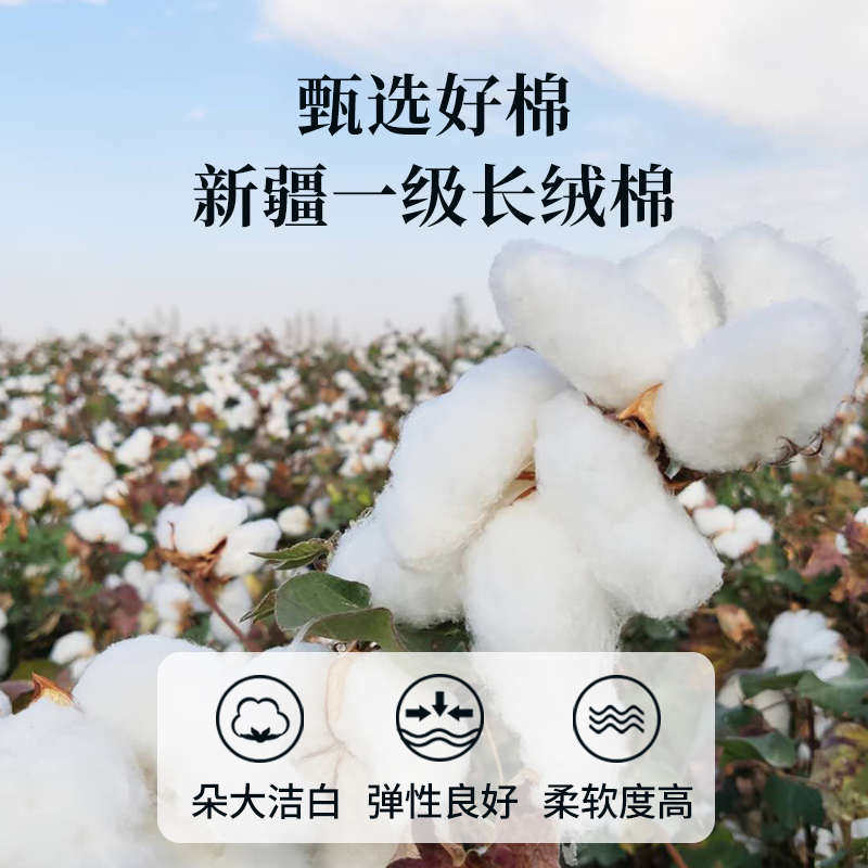 新疆一级长绒棉被纯棉花被子被芯冬被棉絮床垫被褥子冬季加厚冬天,淘宝优惠券,粉丝福利购,淘宝优惠卷