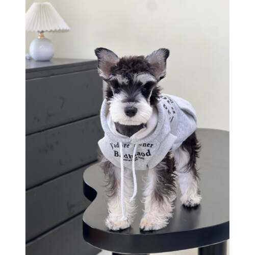 宠物猫狗衣服秋冬潮牌糖果色纯棉无袖卫衣防掉毛中小大型犬卫衣 - 图2