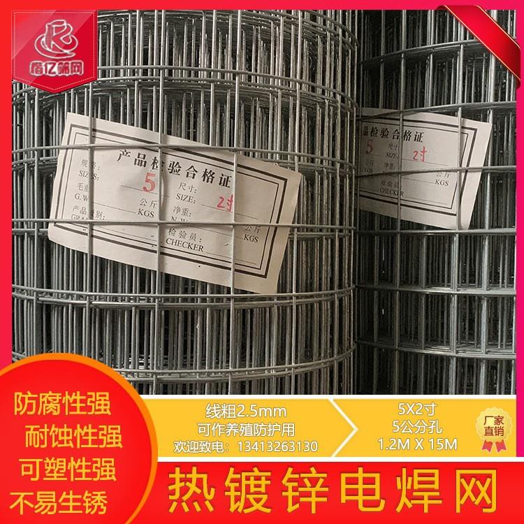 电焊网家用养殖铁丝网建筑外墙保温抹墙网镀锌电焊网地暖桥梁网片 - 图0