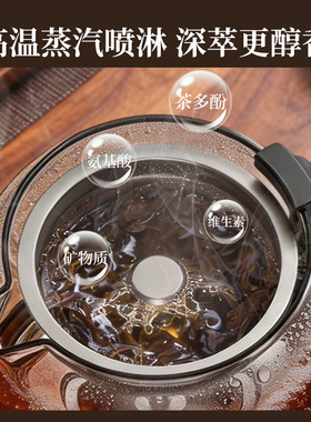 金正煮茶器316不锈钢喷淋电茶炉
