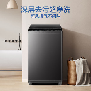 【新品】小天鹅波轮洗衣机全自动家用