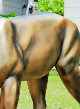 户外彷真梅花鹿招财大摆件彷铜鹿玻璃钢抽象动物雕塑庭院园林装饰