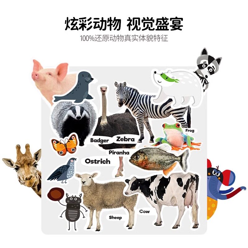 原版进口 天才动物大集合14册 Animals Got Talent 点读版 小怪兽5G版点读笔 动物大比拼 7-12岁儿童英文绘本动物科普百科阅读故事