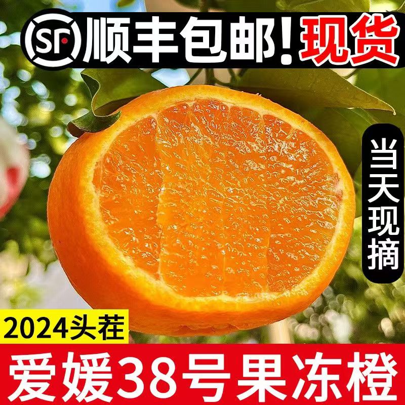 四川眉山爱媛38号果冻橙新鲜水果红美人橘桔子橙子旗舰店顺丰包邮