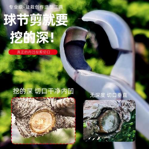 大号球节剪不锈钢盆景修剪造型专用工具球形剪刀挖型修枝钳套装 - 图0
