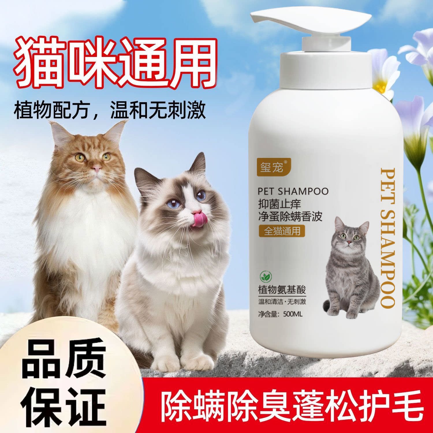 图5