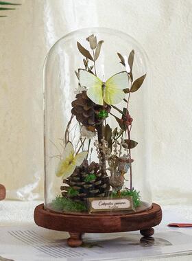 蝴蝶玻璃罩标本植物永生花昆虫摆件微景观送礼高级创意礼物真蝴蝶