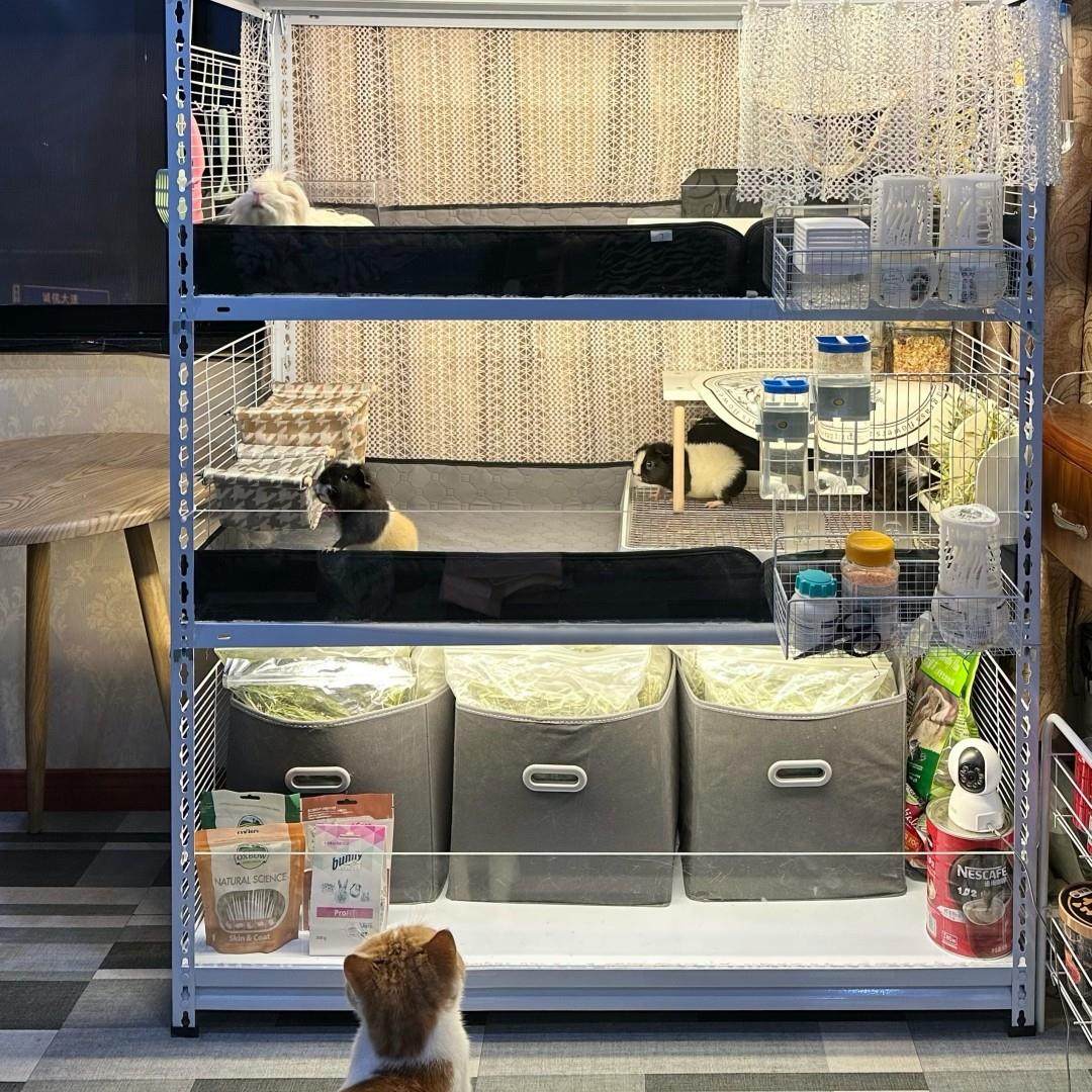 【谢谢喵一代镇店之垫防尿垫】荷兰猪豚鼠兔子猫狗宠物吸水防尿垫,淘宝优惠券,粉丝福利购,淘宝优惠卷