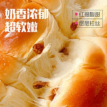 士丹顿老式原味老面包6包*100g[3元优惠券]-寻折猪