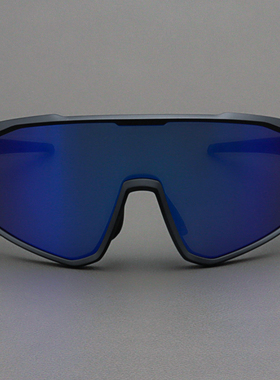 MOSCOTLEMTOSH徒步磨砂蓝色墨镜