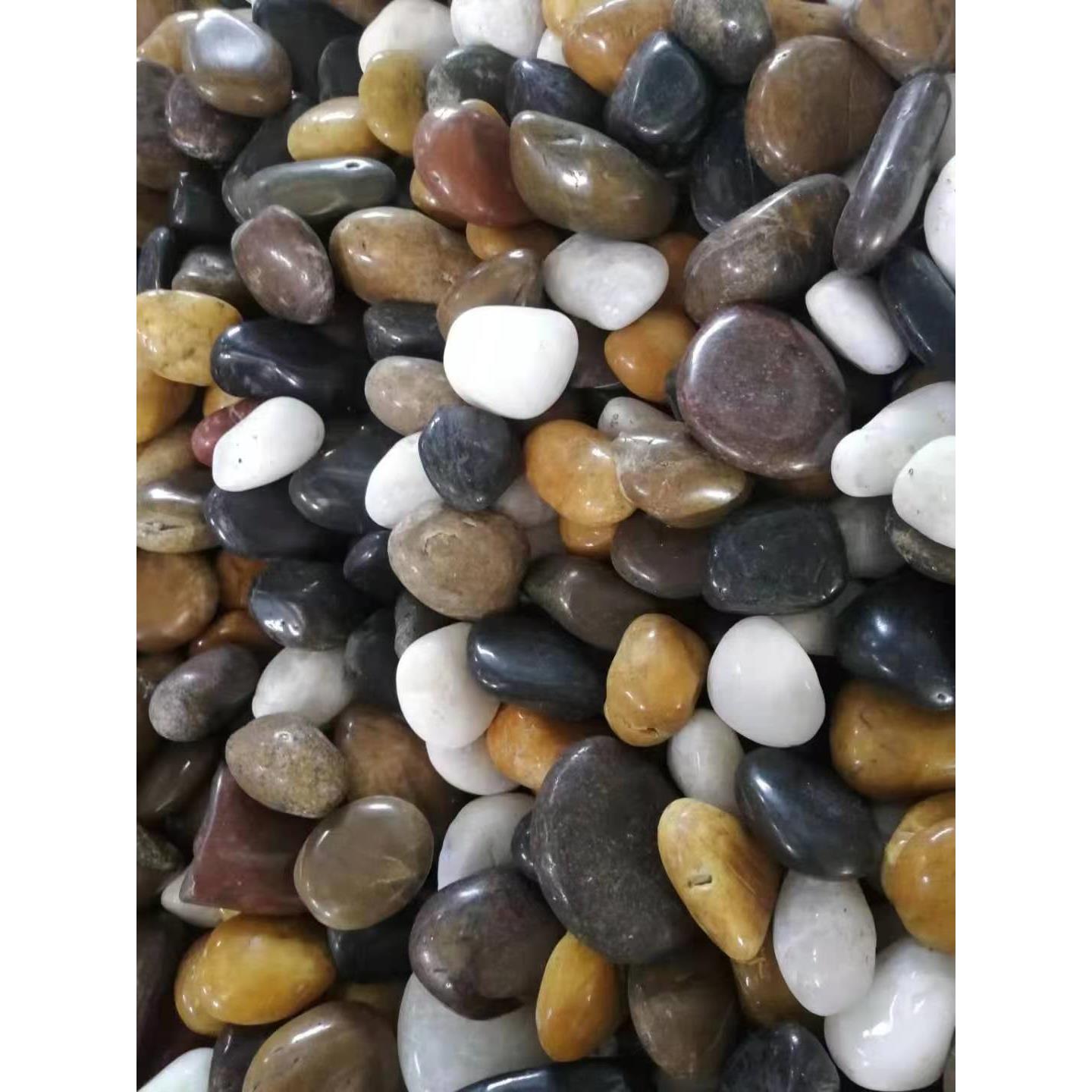 鹅卵石雨花石米石黑砾石五彩石室内植物造景庭院铺路石石子景观石 - 图2