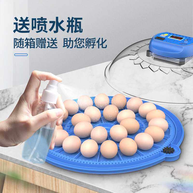 全自动智能孵化机 小鸡孵化箱小型家用型孵蛋器鸡鸭鹅鹌鹑 孵化器,淘宝优惠券,粉丝福利购,淘宝优惠卷