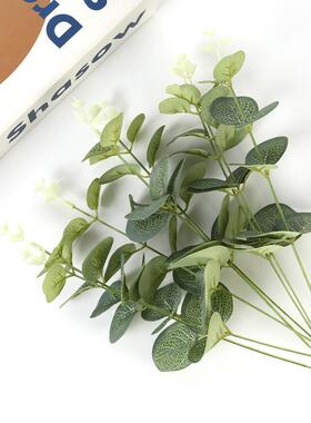 仿真单支尤加利植物绿植装饰礼盒花环装饰配件插花摄影道具金钱叶