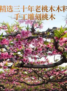 老桃木枝五色线桃树枝7厘米真桃木棍七根东南枝绳婴儿童床头挂件