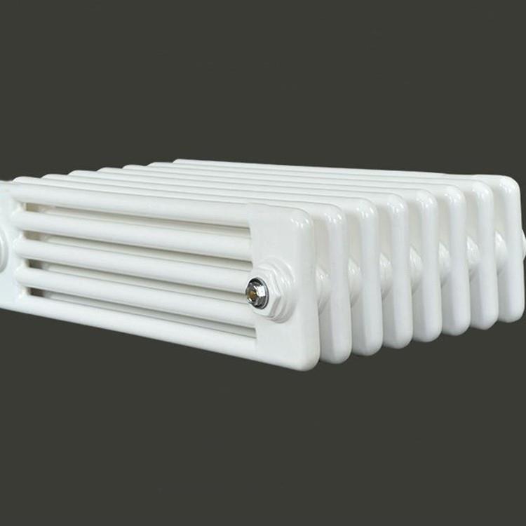 钢制五柱散热器工程定制水暖散热器低碳钢防腐落地式壁挂式暖气片 - 图2