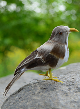 仿真麻雀小鸟羽毛麻雀灰色羽毛小鸟装饰摆件拍摄道具假树装饰