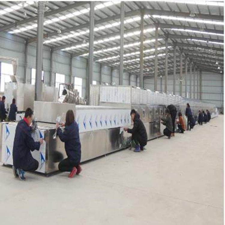 大型裙带菜蔬菜脱水烘干设备自动木耳香菇微波杀菌干燥机,淘宝优惠券,粉丝福利购,淘宝优惠卷