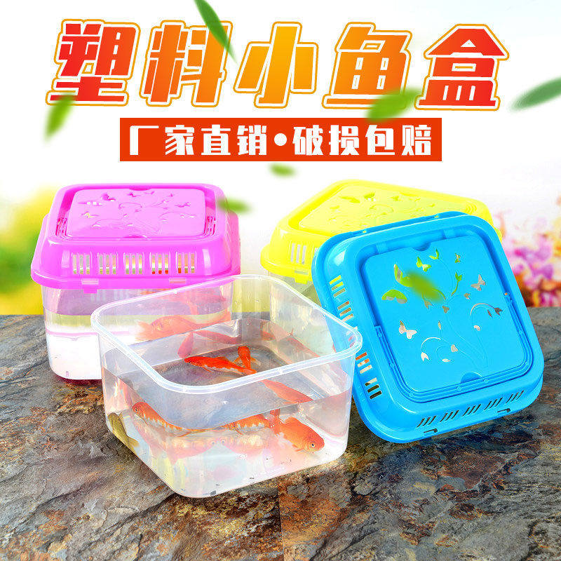 手提乌龟运输盒 宠物盒 透明塑料金鱼缸仓鼠盒 运输盒饲养盒,淘宝优惠券,粉丝福利购,淘宝优惠卷