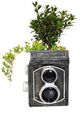 新款复古照机树造型树脂花20210001盆家相居创意摆件栽脂工艺盆品