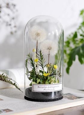野地花园植物标本玻璃罩干花永生花家居书房陈列摆件饰品北欧礼物