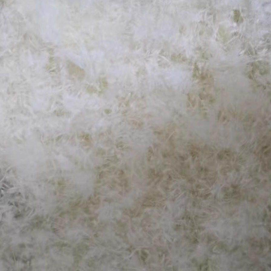 散装羽绒5%低分绒小羽毛绒片枕头靠垫沙发被子填充物原料厂家直销,淘宝优惠券,粉丝福利购,淘宝优惠卷