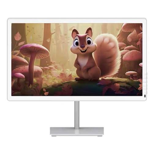 BIGME彩色墨水屏显示器一体机B251墨水屏显示屏25.3寸护眼显示器 - 图1