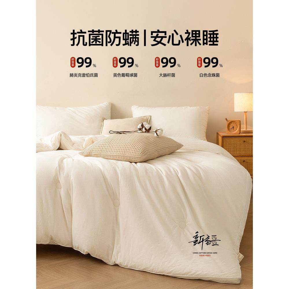 新疆棉花被子冬被棉被全棉冬季加厚保暖纯棉花被芯单人春秋被棉絮,淘宝优惠券,粉丝福利购,淘宝优惠卷