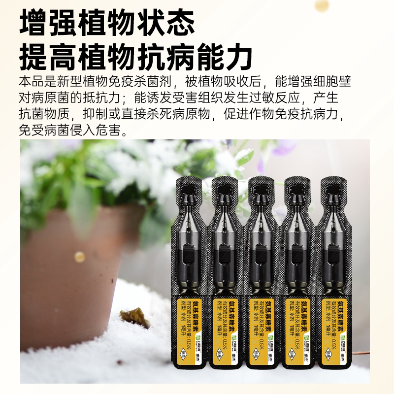 上甫0.5%氨基寡糖素番茄西红柿病毒病花叶病植物抗农药杀菌杀虫剂