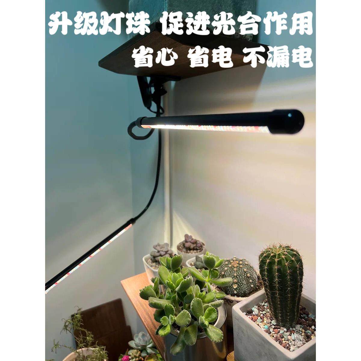 多肉补光增色灯定时USB夹式上色全光谱LED花卉盆景植物灯生长灯,淘宝优惠券,粉丝福利购,淘宝优惠卷