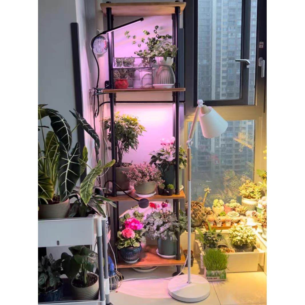 多肉补光增色灯定时USB夹式上色全光谱LED花卉盆景植物灯生长灯,淘宝优惠券,粉丝福利购,淘宝优惠卷