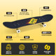 DBH Professional Skateboard丨Selling 1 million+ on the entire network