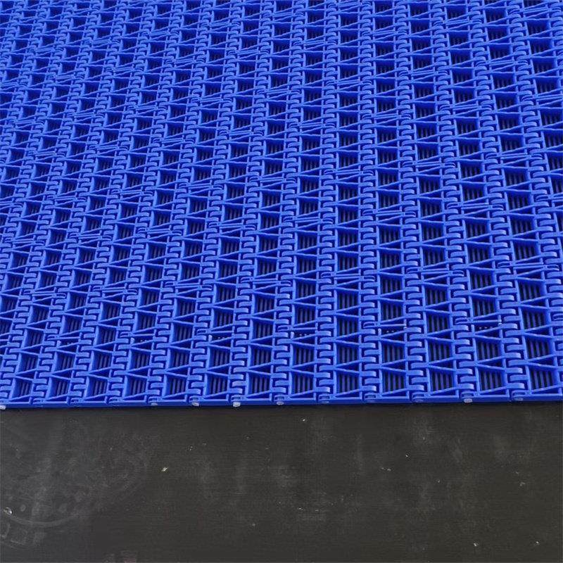 5935 5936塑料链板输送带19.05节距pom输送链板pp食品级塑料网带,淘宝优惠券,粉丝福利购,淘宝优惠卷