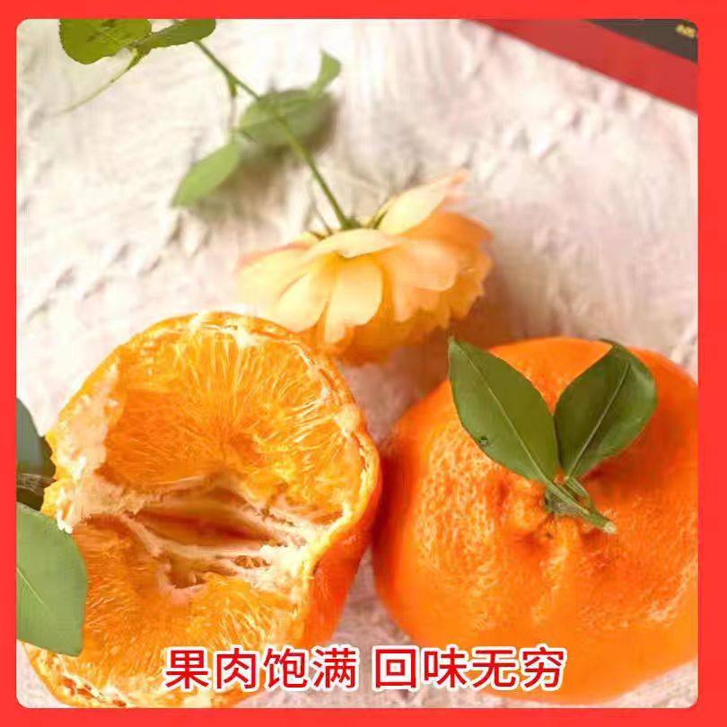 正宗红美柑橘当季新鲜水果桔子爱媛28号果冻橙子红美人来自象山,淘宝优惠券,粉丝福利购,淘宝优惠卷